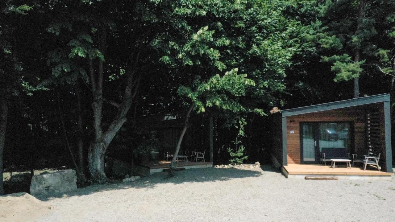 Cetatuia 호텔 머구라 외부 사진