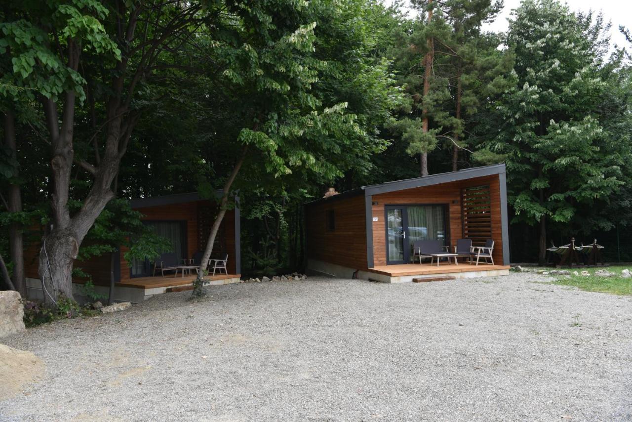 Cetatuia 호텔 머구라 외부 사진
